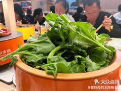 -龍歌自助小火锅(市北台东利群店)