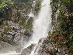 -鼎湖山风景区