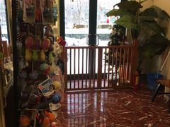 -多卡布奇宠物生活馆(上林世家店)