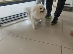 -艾贝尔宠物医院 ·中兽医·宠保定点(北门桥店)
