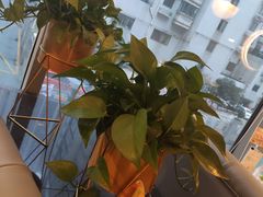 -必胜客(吾悦国际广场店)