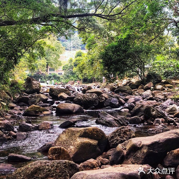 广州游攻略｜自驾游的石门国家森林公园