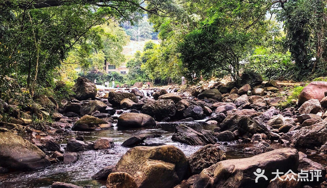 广州游攻略｜自驾游的石门国家森林公园