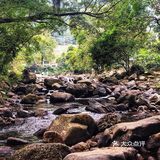 广州游攻略｜自驾游的石门国家森林公园