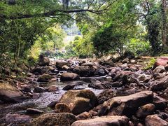 -广州市石门国家森林公园