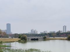 -南宁南湖公园
