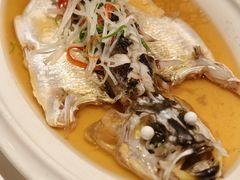 -老洋房花园饭店(绍兴路店)