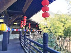 -大唐贡茶院