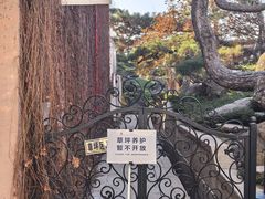 -罗红摄影艺术馆