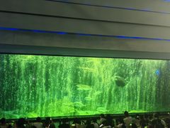 -海合安成都极地海洋公园