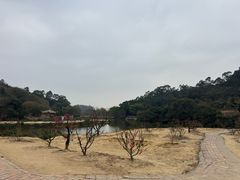 -南国桃园旅游度假区