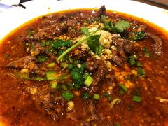 水煮牛肉-夫妻肺片·中华老字号·正宗川菜(春熙路店)