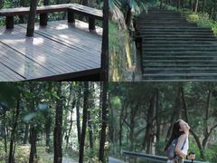 -铁山坪森林公园