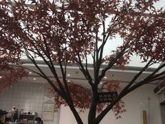 -艾薯夫妇Aysh(福田星河COCOPark店)