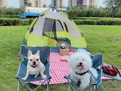 -蒲河岛湿地公园