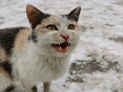 -终南山南五台景区