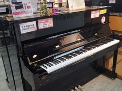 -通利琴行 - 元朗(元朗店)