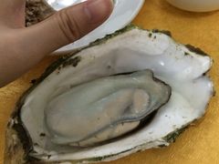 -蚝专家(北滘店)