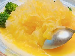 -十八棵（老龙井）御茶园(老龙井店)