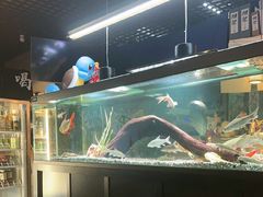 -阿泽料理