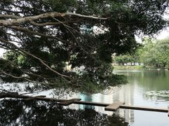 -荔枝公园(福田区)