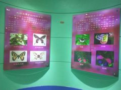 -上海昆虫博物馆