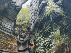 -梭布垭石林景区