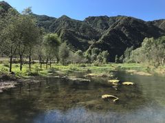 -白河湾生态旅游一条川