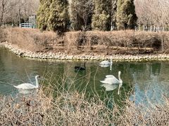 -长白岛森林公园