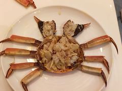 -新光酒家·河豚·海鲜·蟹料理(浦东店)