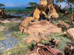 -国家自然博物馆