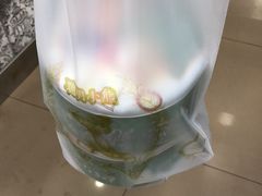 -珍妮曲奇聪明小熊(上环店)