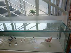 -海之声助听器无锡旗舰中心·儿童验配中心