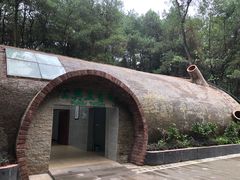 -铁山坪森林公园