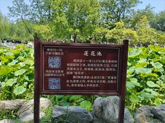 -莲湖公园