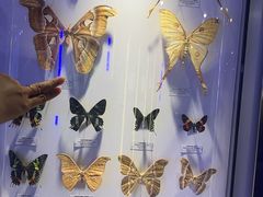 -吉林省自然博物馆