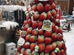 -成都蒲江花样年福朋喜来登度假酒店·宜客乐西餐厅