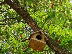 -西山漾湿地公园