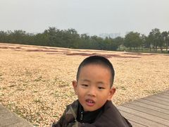 -汉长安城未央宫国家考古遗址公园