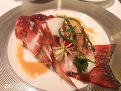 -金悦轩海鲜酒家(银河店)