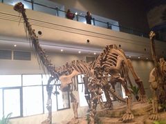 iphone_upload_pic-自贡恐龙博物馆