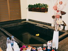 -春晖园度假酒店温泉