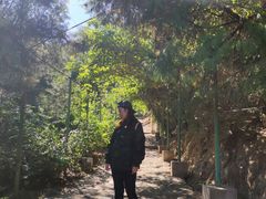 -北京鹫峰国家森林公园