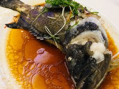 清蒸海上斑-新兴家喻酒家·羊城名宴(昌岗店)