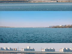 -丁香湖公园