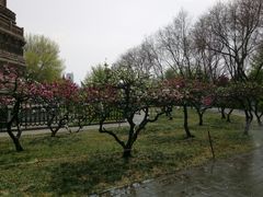 -玲珑塔公园