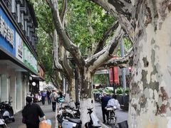 -刘长兴(逸仙桥店)