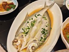-三凤酒家·百年无锡菜(清扬茂业店)