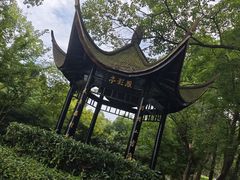 -东湖落雁景区