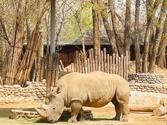 -北京野生动物园